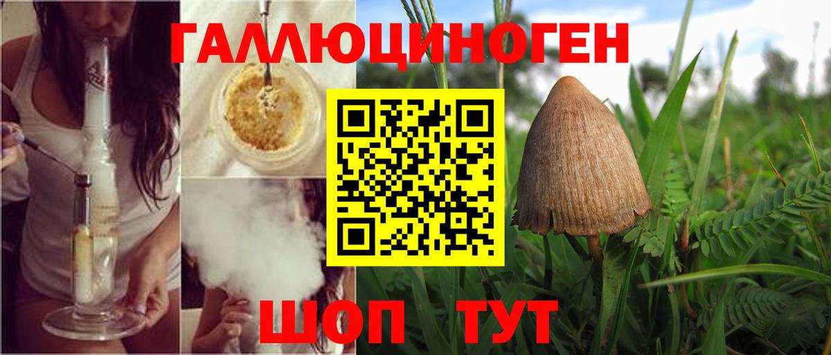 Псилоцибиновые грибы мухоморы  Псилоцибиновые грибы Cubensis  Новотроицк  Вход с VPN 