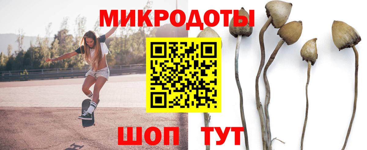 Псилоцибиновые грибы Cubensis Новотроицк